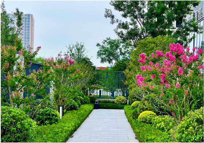 bd598984a60cf47678c58cc045e05ce9.jpg 11.jpg