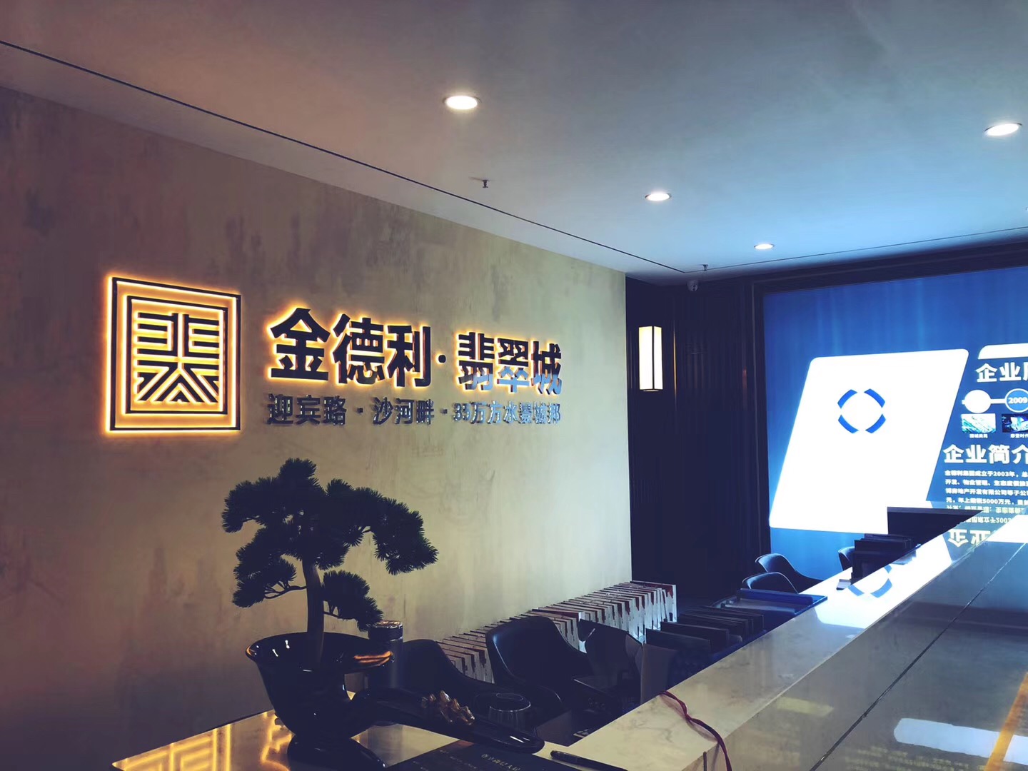 金德利·翡翠城實(shí)景圖