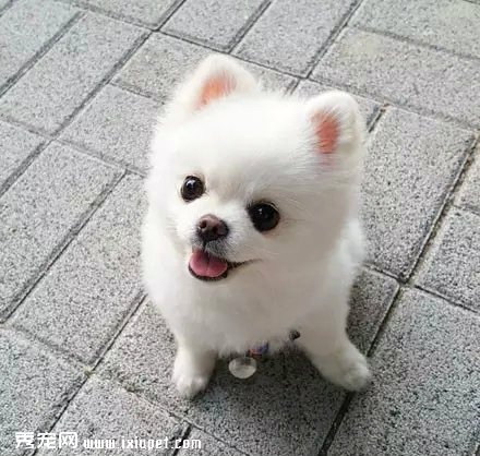 焦作市大美宜家房產(chǎn)經(jīng)紀(jì)有限公司