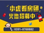 11月焦作房產(chǎn)網(wǎng)小虎免費看房團開始報名了