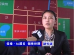 2011房博會常綠·林溪谷銷售經(jīng)理胡總專訪