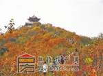 中站區(qū)：絕美“紅葉谷” 市民“后花園”