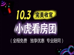 銀十來襲 小虎看房團(tuán)131期國慶專場完美收官