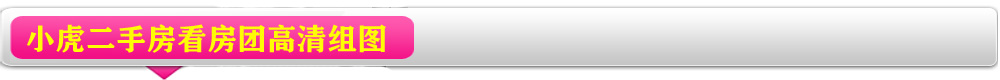 看房團高清組圖
